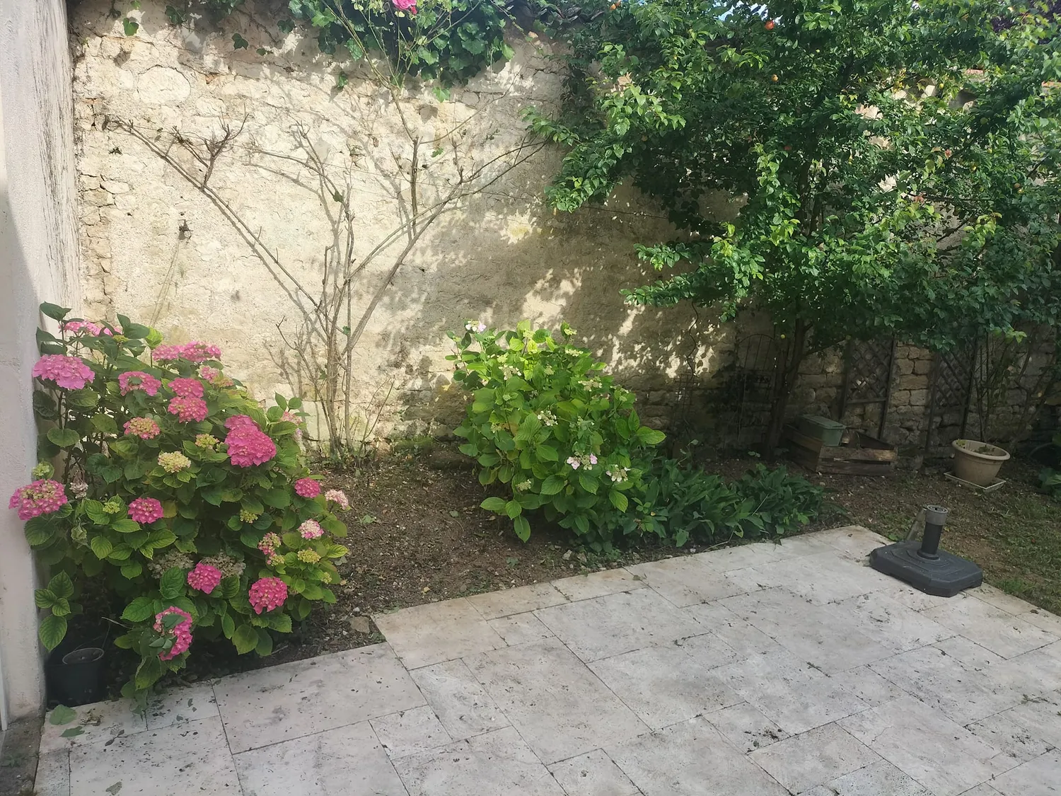 after-image