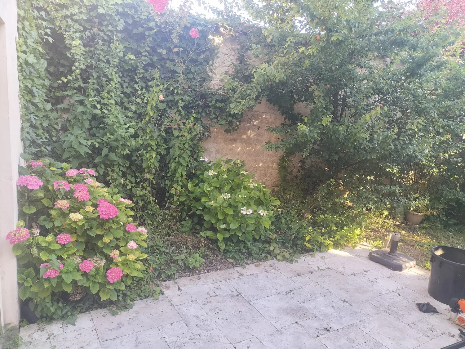 before-image